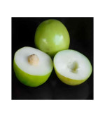 Ber Apple Plant  ( PACK OF 2)